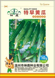 Shenlu early cucumber