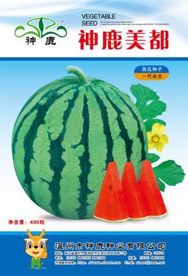 Shenlu Meidu watermelon